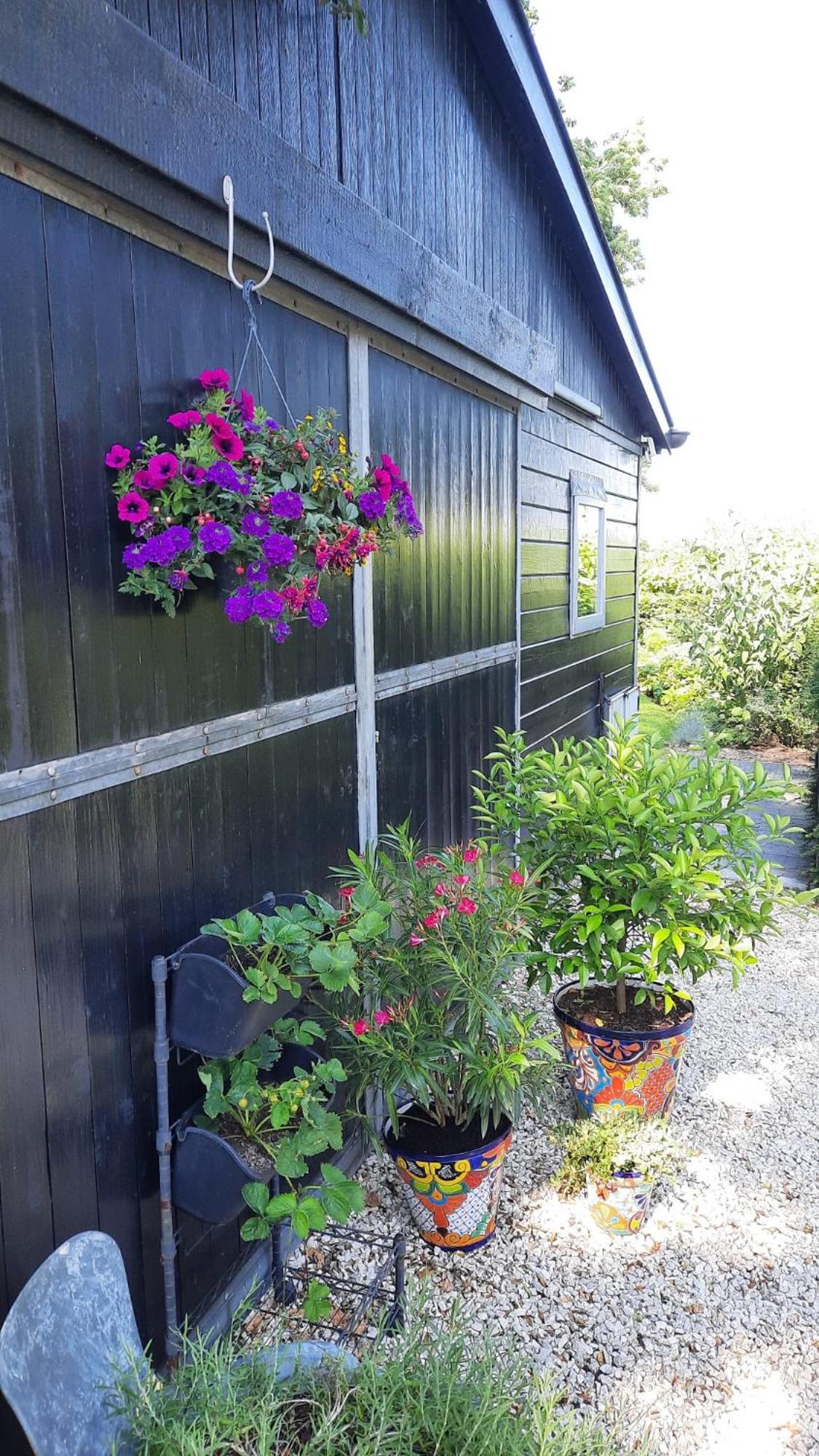 Vakantiehuis Onder De Peppel Met Sauna En Jacuzzi Wijk en Aalburg 외부 사진